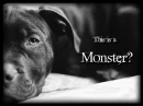 Moster... Ur decision...