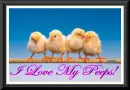 I Love My Peeps