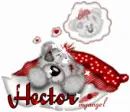 Hector