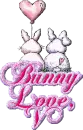 Bunny Love V