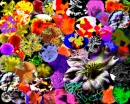 colorfull patterns