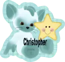 kitty with star