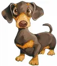 Weiner Dog