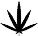 WEED PLANT