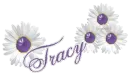 WHITE DAISIES