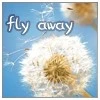 Fly away