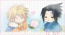 Sasuke and naruto