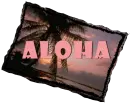 Aloha