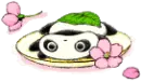 funny panda