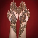 beautiful hennaed hands