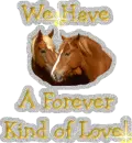 Forever Love