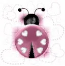 Pink LadyBug