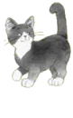 my cat drawings put to work...