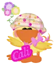 Cali