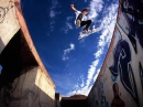 ryan sheckler skating