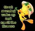 wake up!