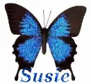 susie