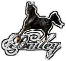 bailey black horse
