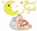 Good Night Bear