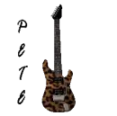 Pete Guitar