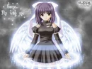 Fly With Me