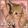 citty rawr