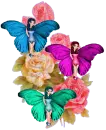 Fairies