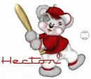 Hector baseball bear