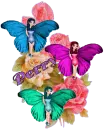 Perry Fairy