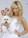 Sharpay