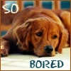 Bored 