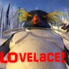 lovelace