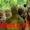 over the hedge