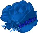 Tabby Rose