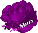 Shay