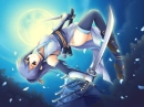 Ninja of the Night
