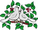 Doves