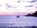 The Philly Peace Sea