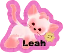 pink kitty