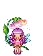 pixi
