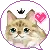 kitty