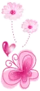 pink butterfly