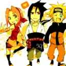 team 7