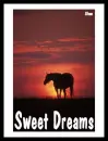 Sweet Dreams