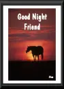 Good Night Friend