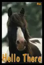 Hello There