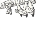 Arashi Single 