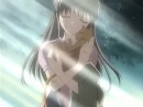 Fruits Basket