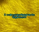 rakesh13