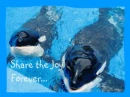 Share the Joy Forever-Nakai and Ulises